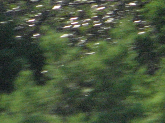 2009/10(October)/Misc/640x480_20100206 544.JPG